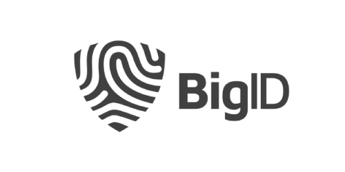 BigID Inc.