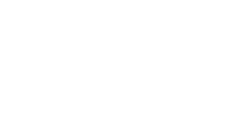 BigID Inc.